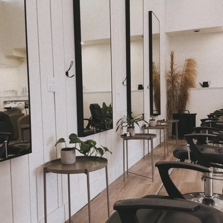 The salon: white walls, black mirrors and plants